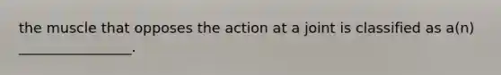 the muscle that opposes the action at a joint is classified as a(n) ________________.