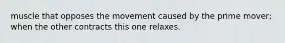 muscle that opposes the movement caused by the prime mover; when the other contracts this one relaxes.