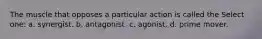 The muscle that opposes a particular action is called the Select one: a. synergist. b. antagonist. c. agonist. d. prime mover.
