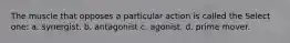 The muscle that opposes a particular action is called the Select one: a. synergist. b. antagonist c. agonist. d. prime mover.