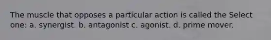 The muscle that opposes a particular action is called the Select one: a. synergist. b. antagonist c. agonist. d. prime mover.