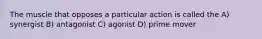 The muscle that opposes a particular action is called the A) synergist B) antagonist C) agonist D) prime mover