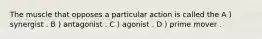 The muscle that opposes a particular action is called the A ) synergist . B ) antagonist . C ) agonist . D ) prime mover .