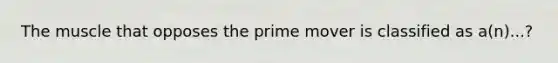 The muscle that opposes the prime mover is classified as a(n)...?