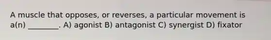 A muscle that opposes, or reverses, a particular movement is a(n) ________. A) agonist B) antagonist C) synergist D) fixator