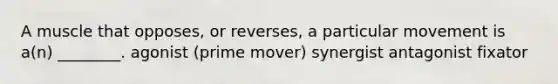 A muscle that opposes, or reverses, a particular movement is a(n) ________. agonist (prime mover) synergist antagonist fixator