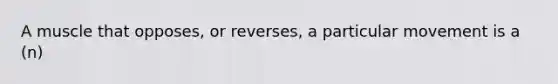 A muscle that opposes, or reverses, a particular movement is a (n)