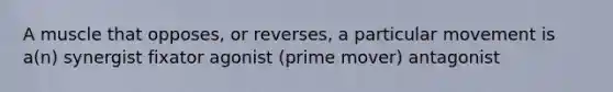 A muscle that opposes, or reverses, a particular movement is a(n) synergist fixator agonist (prime mover) antagonist