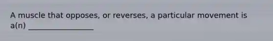 A muscle that opposes, or reverses, a particular movement is a(n) _________________