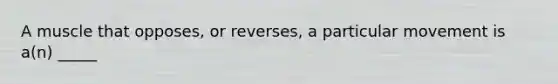 A muscle that opposes, or reverses, a particular movement is a(n) _____