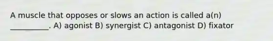 A muscle that opposes or slows an action is called a(n) __________. A) agonist B) synergist C) antagonist D) fixator