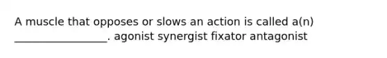 A muscle that opposes or slows an action is called a(n) _________________. agonist synergist fixator antagonist