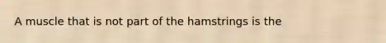 A muscle that is not part of the hamstrings is the