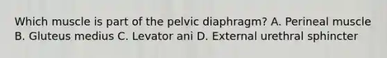 Which muscle is part of the pelvic diaphragm? A. Perineal muscle B. Gluteus medius C. Levator ani D. External urethral sphincter