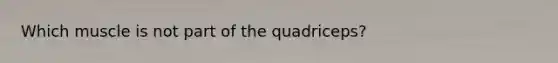 Which muscle is not part of the quadriceps?