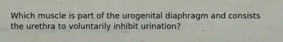 Which muscle is part of the urogenital diaphragm and consists the urethra to voluntarily inhibit urination?