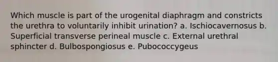 Which muscle is part of the urogenital diaphragm and constricts the urethra to voluntarily inhibit urination? a. Ischiocavernosus b. Superficial transverse perineal muscle c. External urethral sphincter d. Bulbospongiosus e. Pubococcygeus