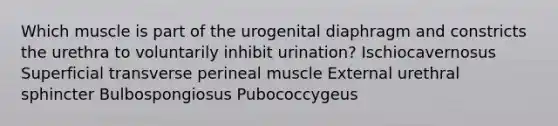 Which muscle is part of the urogenital diaphragm and constricts the urethra to voluntarily inhibit urination? Ischiocavernosus Superficial transverse perineal muscle External urethral sphincter Bulbospongiosus Pubococcygeus