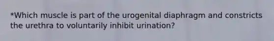 *Which muscle is part of the urogenital diaphragm and constricts the urethra to voluntarily inhibit urination?