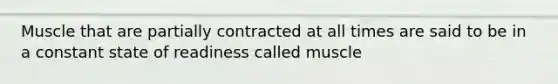 Muscle that are partially contracted at all times are said to be in a constant state of readiness called muscle
