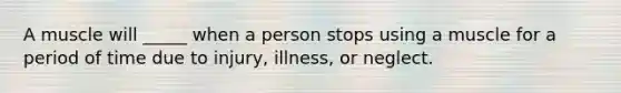 A muscle will _____ when a person stops using a muscle for a period of time due to injury, illness, or neglect.