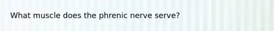 What muscle does the phrenic nerve serve?