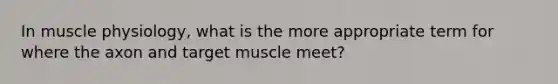 In muscle physiology, what is the more appropriate term for where the axon and target muscle meet?