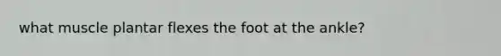 what muscle plantar flexes the foot at the ankle?