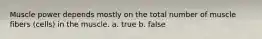 Muscle power depends mostly on the total number of muscle fibers (cells) in the muscle. a. true b. false
