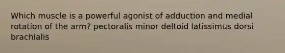 Which muscle is a powerful agonist of adduction and medial rotation of the arm? pectoralis minor deltoid latissimus dorsi brachialis