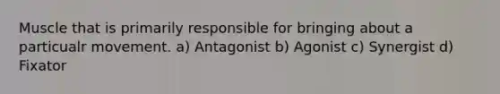 Muscle that is primarily responsible for bringing about a particualr movement. a) Antagonist b) Agonist c) Synergist d) Fixator