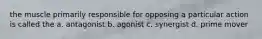the muscle primarily responsible for opposing a particular action is called the a. antagonist b. agonist c. synergist d. prime mover