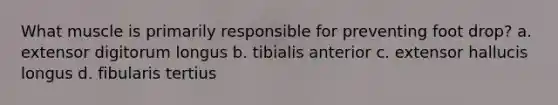 What muscle is primarily responsible for preventing foot drop? a. extensor digitorum longus b. tibialis anterior c. extensor hallucis longus d. fibularis tertius