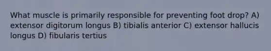 What muscle is primarily responsible for preventing foot drop? A) extensor digitorum longus B) tibialis anterior C) extensor hallucis longus D) fibularis tertius