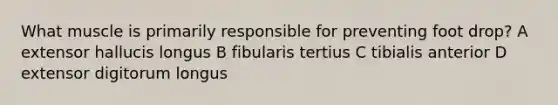 What muscle is primarily responsible for preventing foot drop? A extensor hallucis longus B fibularis tertius C tibialis anterior D extensor digitorum longus