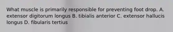 What muscle is primarily responsible for preventing foot drop. A. extensor digitorum longus B. tibialis anterior C. extensor hallucis longus D. fibularis tertius