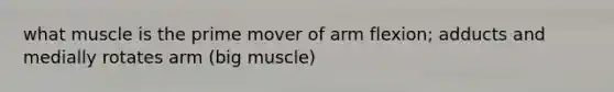 what muscle is the prime mover of arm flexion; adducts and medially rotates arm (big muscle)