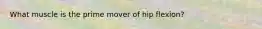 What muscle is the prime mover of hip flexion?