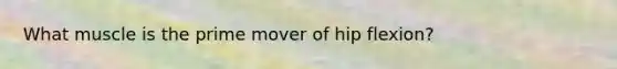 What muscle is the prime mover of hip flexion?