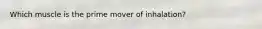 Which muscle is the prime mover of inhalation?
