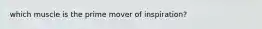which muscle is the prime mover of inspiration?