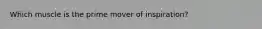 Which muscle is the prime mover of inspiration?