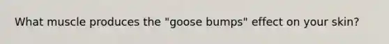 What muscle produces the "goose bumps" effect on your skin?