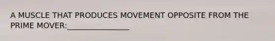 A MUSCLE THAT PRODUCES MOVEMENT OPPOSITE FROM THE PRIME MOVER:________________