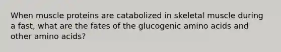 When muscle proteins are catabolized in skeletal muscle during a fast, what are the fates of the glucogenic <a href='https://www.questionai.com/knowledge/k9gb720LCl-amino-acids' class='anchor-knowledge'>amino acids</a> and other amino acids?