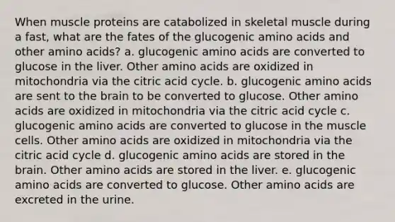 When muscle proteins are catabolized in skeletal muscle during a fast, what are the fates of the glucogenic amino acids and other amino acids? a. glucogenic amino acids are converted to glucose in the liver. Other amino acids are oxidized in mitochondria via the citric acid cycle. b. glucogenic amino acids are sent to the brain to be converted to glucose. Other amino acids are oxidized in mitochondria via the citric acid cycle c. glucogenic amino acids are converted to glucose in the muscle cells. Other amino acids are oxidized in mitochondria via the citric acid cycle d. glucogenic amino acids are stored in the brain. Other amino acids are stored in the liver. e. glucogenic amino acids are converted to glucose. Other amino acids are excreted in the urine.