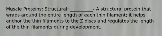 Muscle Proteins: Structural: __________- A structural protein that wraps around the entire length of each thin filament; it helps anchor the thin filaments to the Z discs and regulates the length of the thin filaments during development.