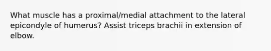 What muscle has a proximal/medial attachment to the lateral epicondyle of humerus? Assist triceps brachii in extension of elbow.