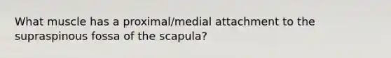 What muscle has a proximal/medial attachment to the supraspinous fossa of the scapula?