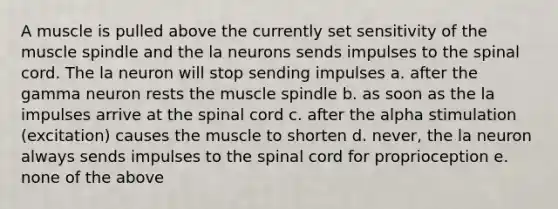 A muscle is pulled above the currently set sensitivity of the muscle spindle and the la neurons sends impulses to the spinal cord. The la neuron will stop sending impulses a. after the gamma neuron rests the muscle spindle b. as soon as the la impulses arrive at the spinal cord c. after the alpha stimulation (excitation) causes the muscle to shorten d. never, the la neuron always sends impulses to the spinal cord for proprioception e. none of the above